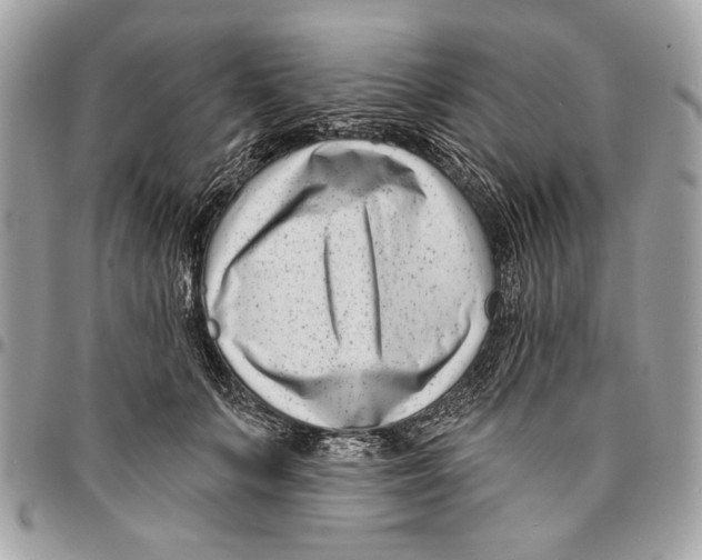 X0000096210703200802081502