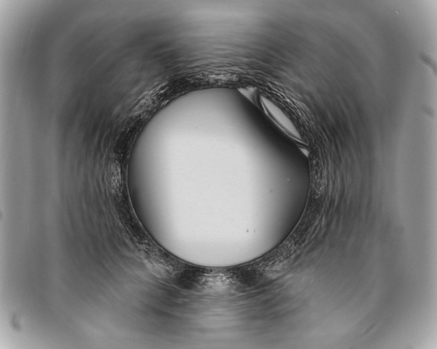 X0000096210704200802081502