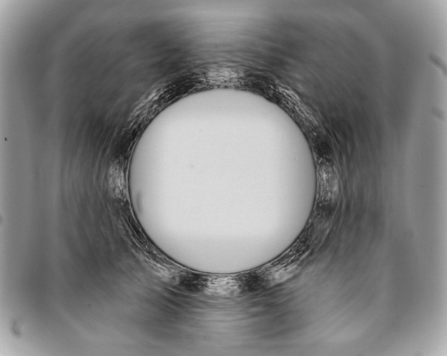 X0000096210705200802081502