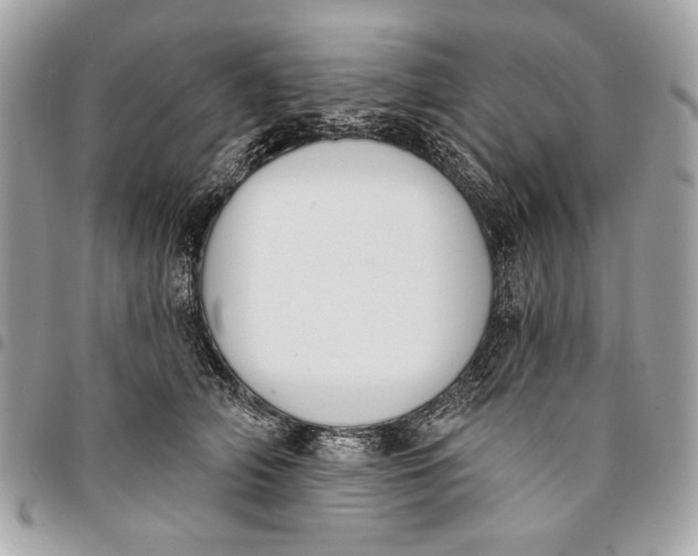 X0000096210706200802081502