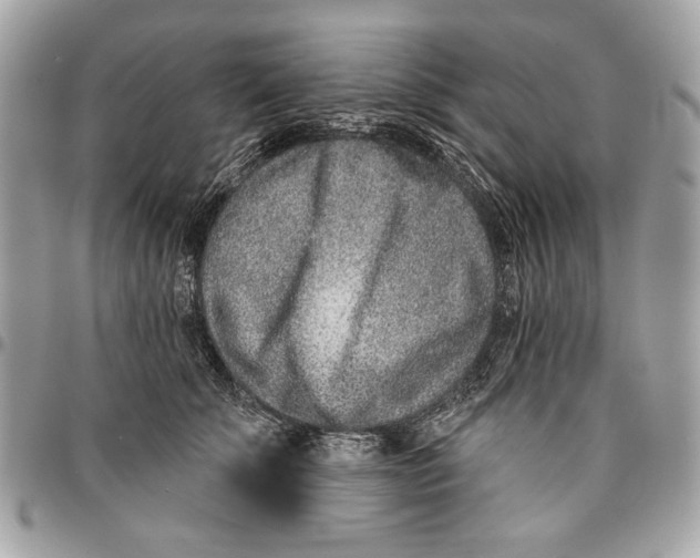 X0000096210707200802081502