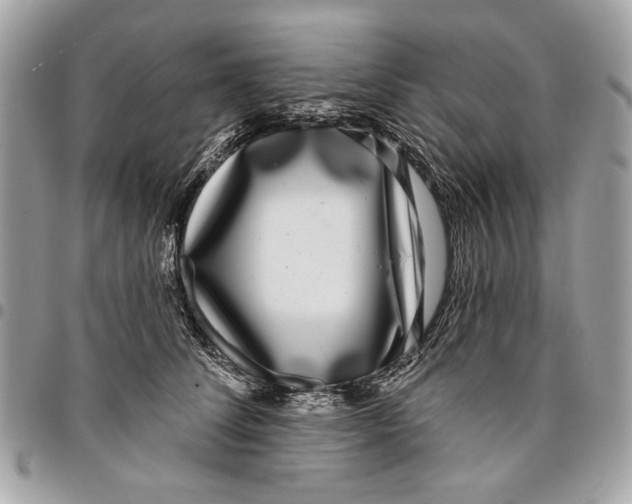 X0000096210708200802081502