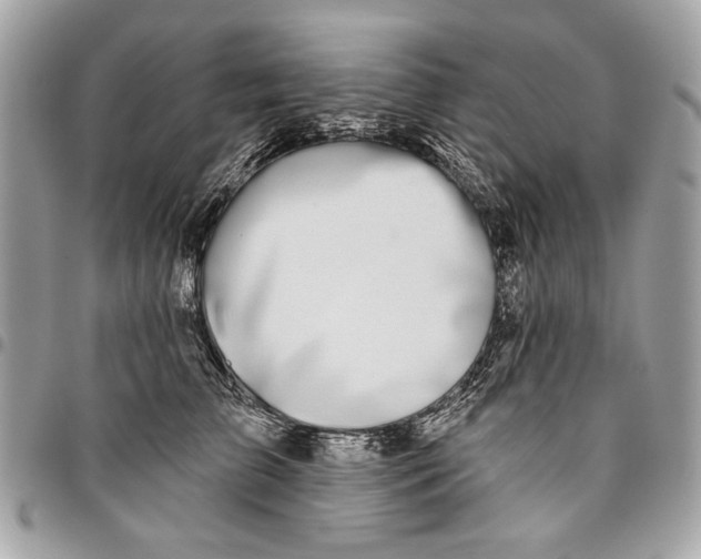 X0000096210709200802081502