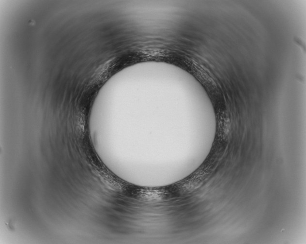 X0000096210710200802081502