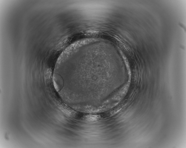 X0000096210711200802081502