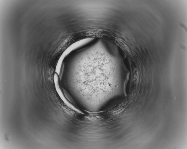 X0000096210712200802081502