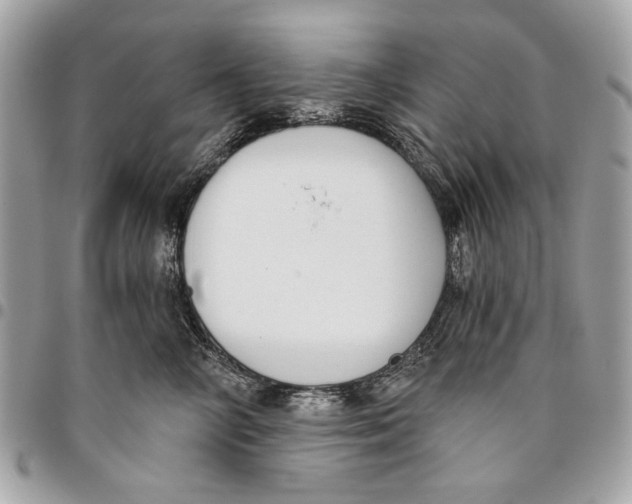 X0000096210714200802081502