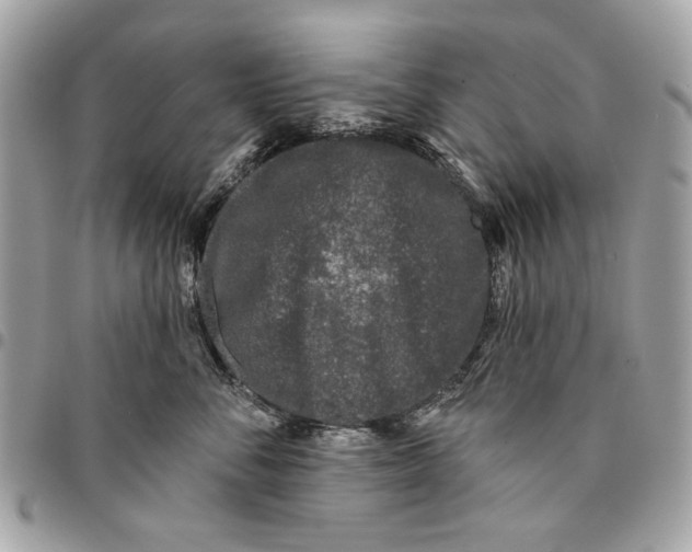 X0000096210716200802081502