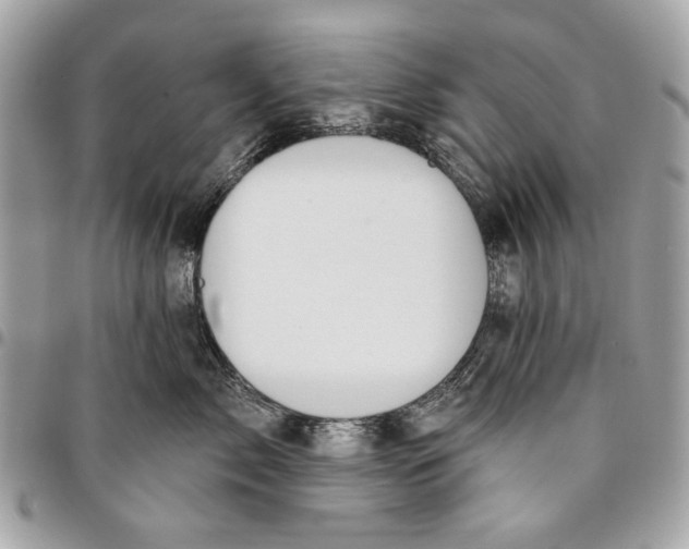 X0000096210717200802081502