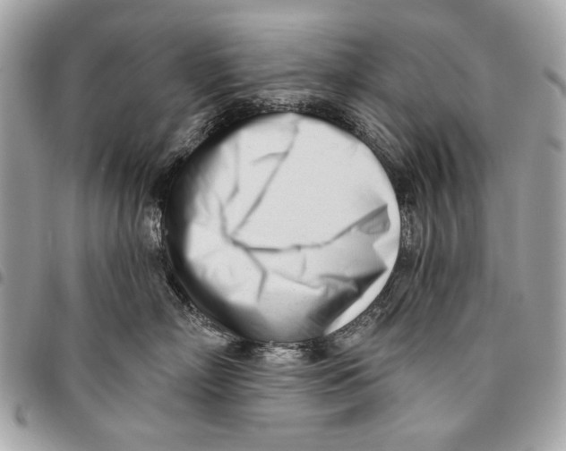 X0000096210718200802081502