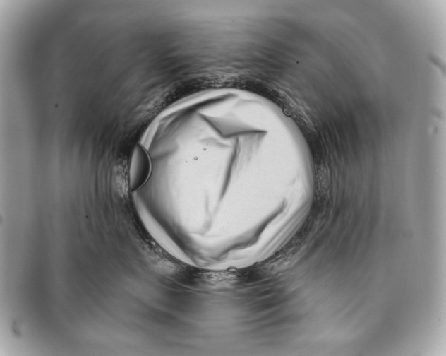 X0000096210719200802081502