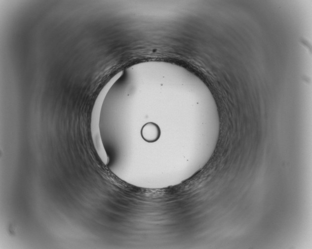 X0000096210720200802081502