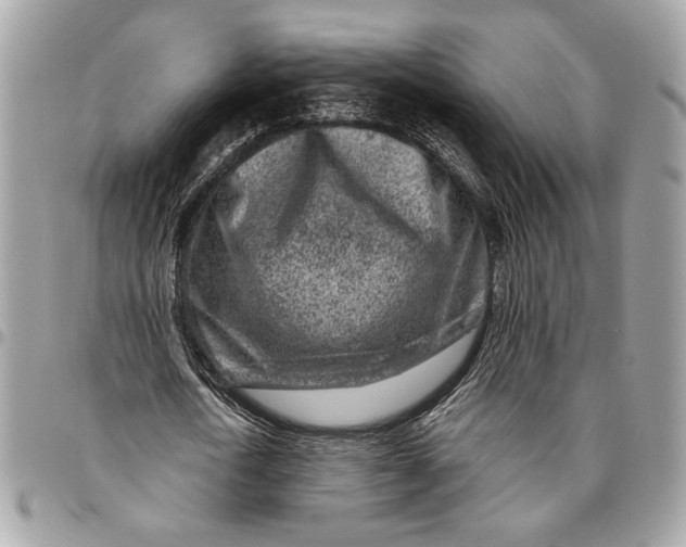 X0000096210722200802081501