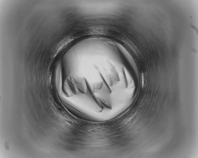 X0000096210723200802081501