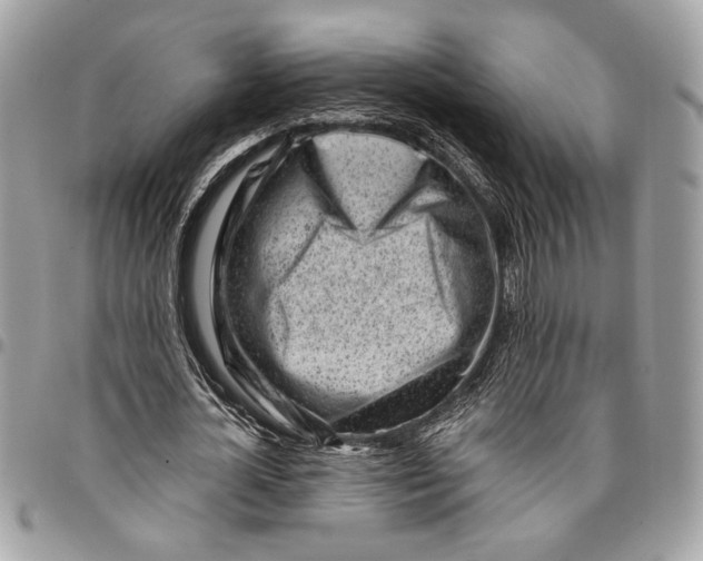 X0000096210724200802081501