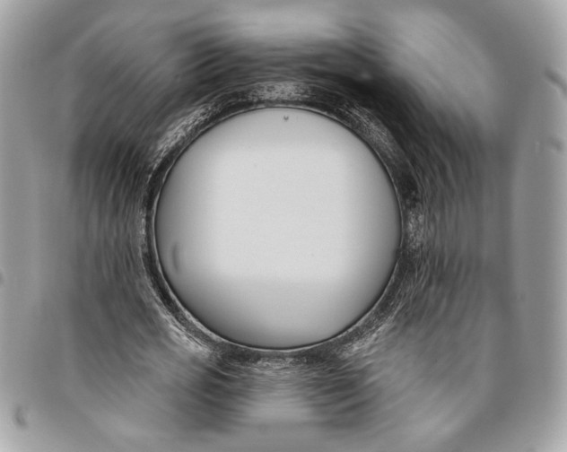 X0000096210725200802081501