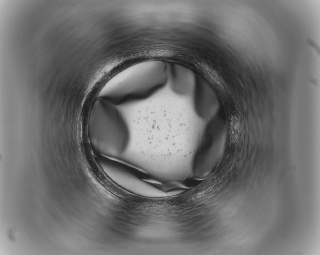 X0000096210726200802081501