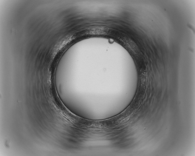 X0000096210727200802081501