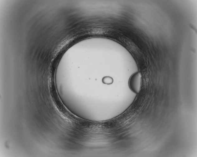 X0000096210728200802081501