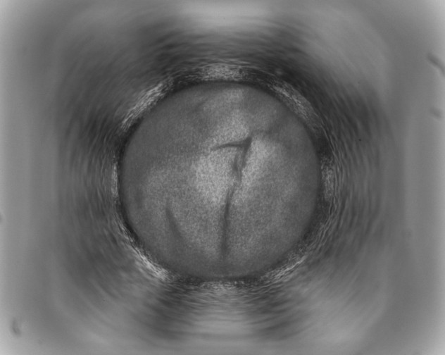 X0000096210729200802081501