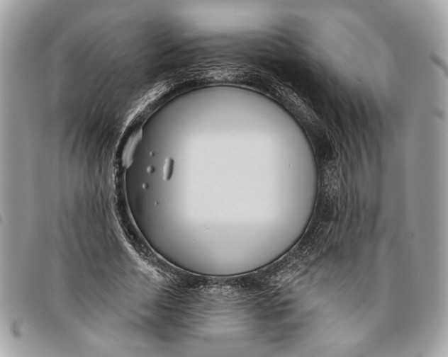 X0000096210730200802081501