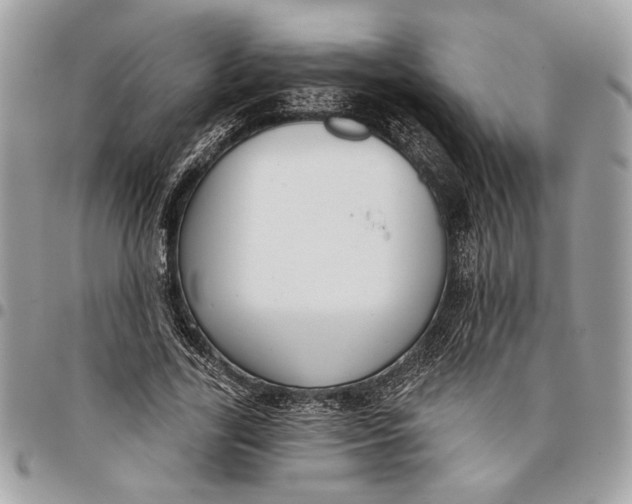 X0000096210731200802081501