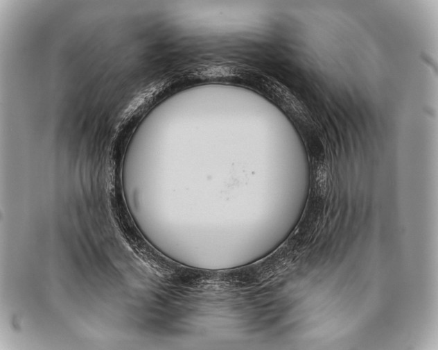 X0000096210732200802081501