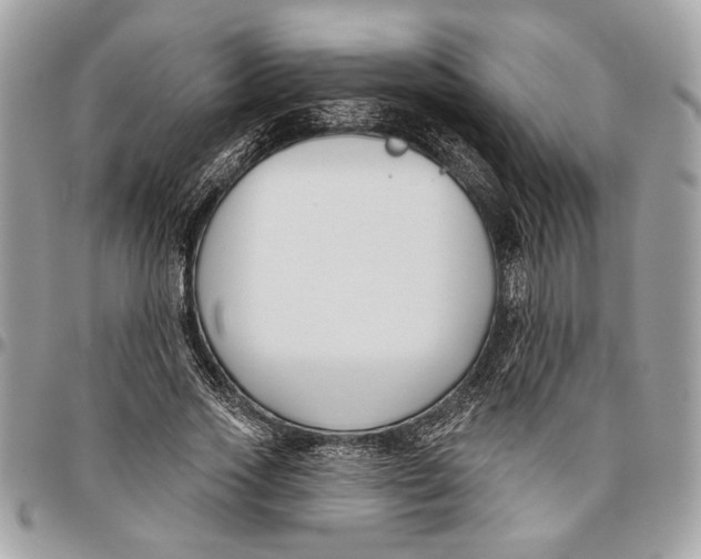 X0000096210733200802081501