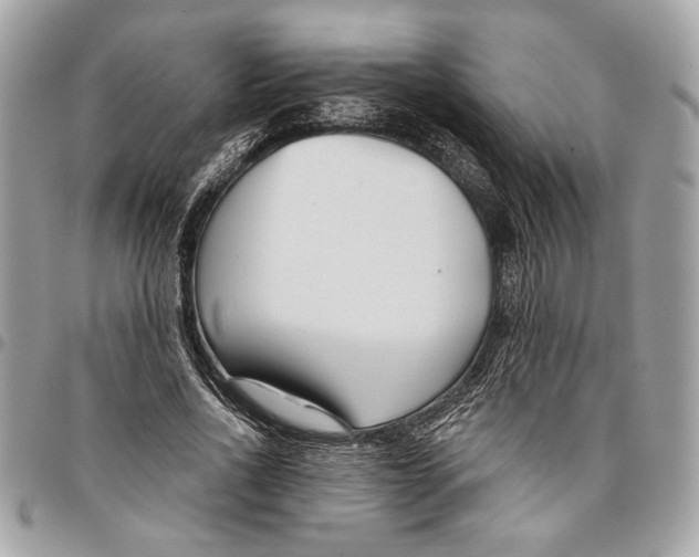 X0000096210734200802081501