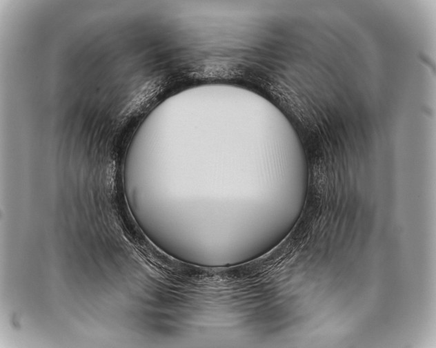 X0000096210735200802081501