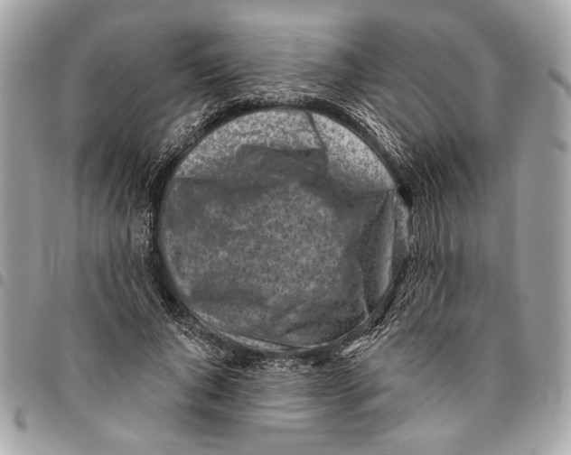 X0000096210736200802081501