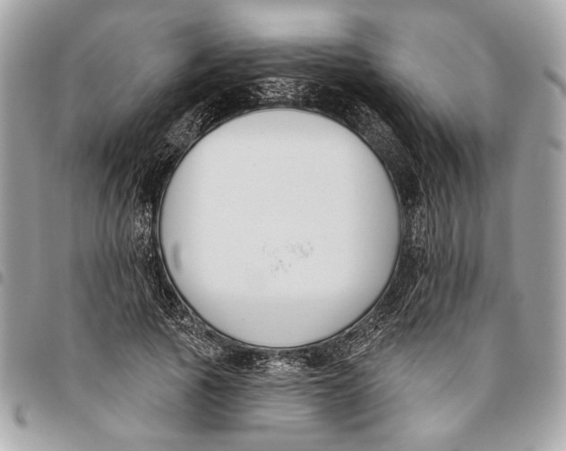 X0000096210737200802081501