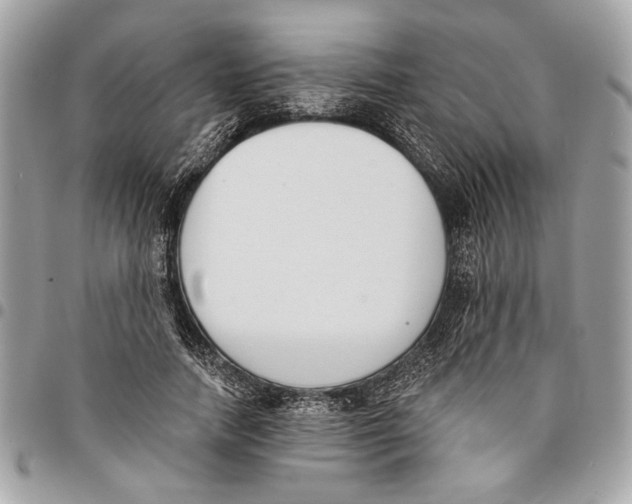 X0000096210738200802081501