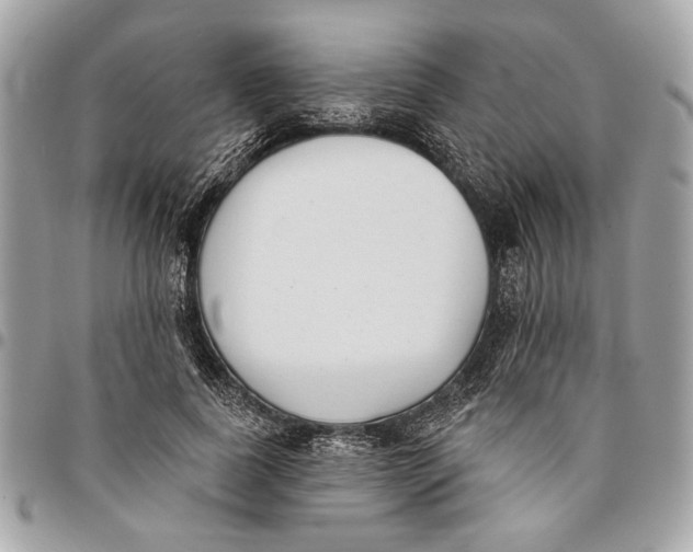 X0000096210739200802081501