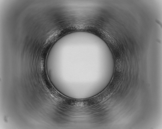 X0000096210740200802081501