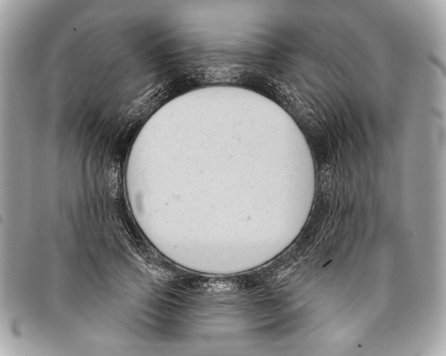 X0000096210741200802081501