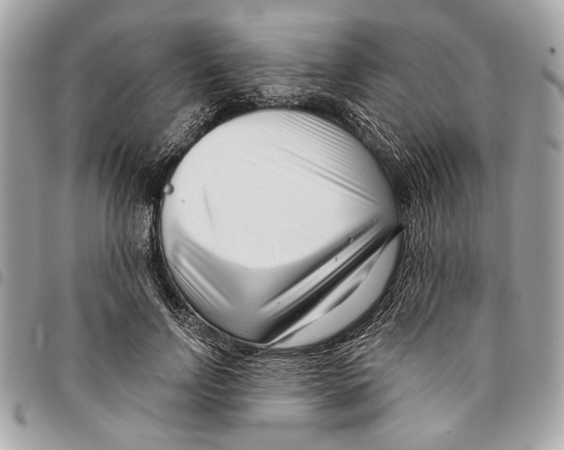 X0000096210742200802081501