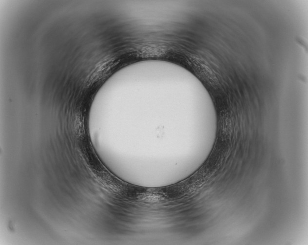 X0000096210743200802081501