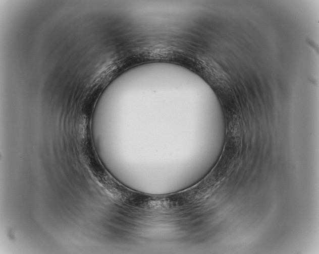 X0000096210744200802081501