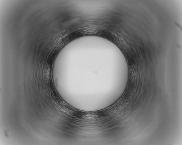 X0000096210745200802081501