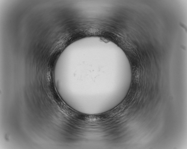 X0000096210746200802081501