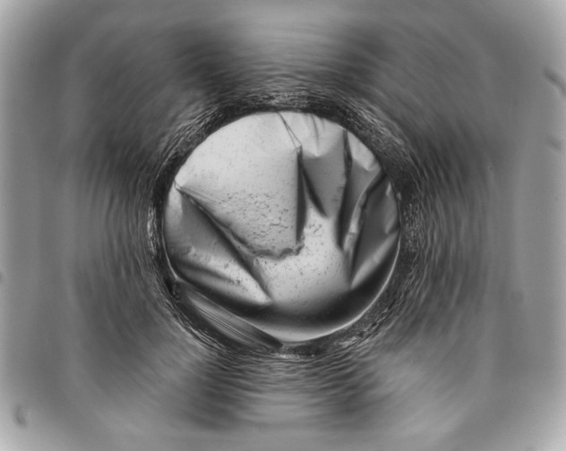 X0000096210748200802081501