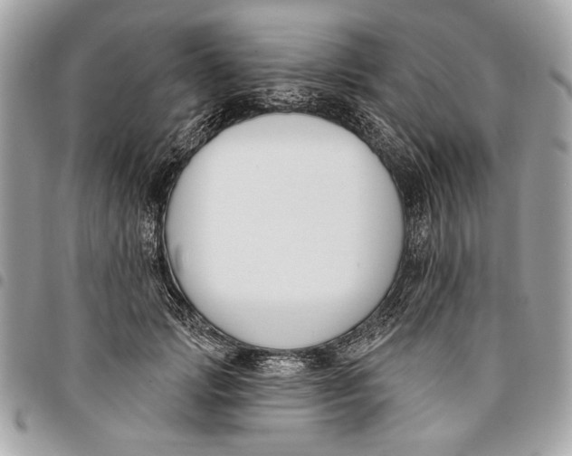 X0000096210749200802081501