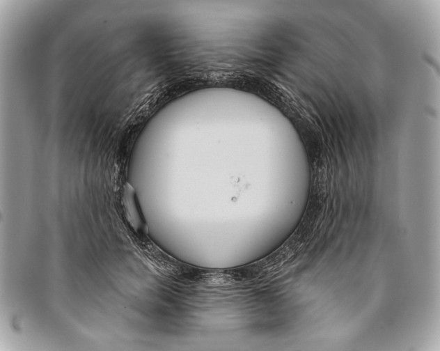 X0000096210750200802081501