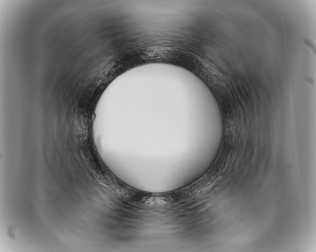 X0000096210751200802081501