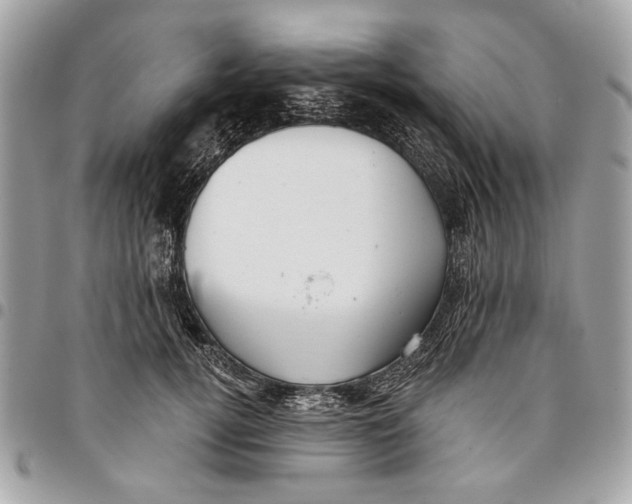 X0000096210752200802081502