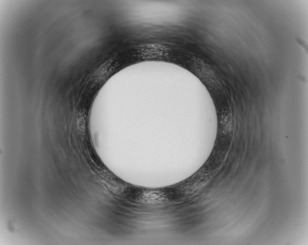 X0000096210753200802081502