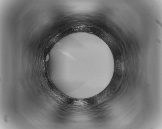 X0000096210754200802081502