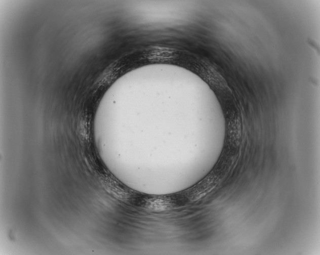 X0000096210755200802081502