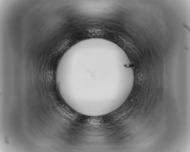 X0000096210756200802081502